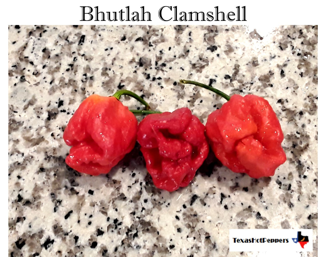 Bhutlah Clamshell Seeds