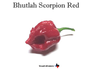 Bhutlah Red Scorpion