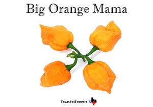 Big Orange Mama