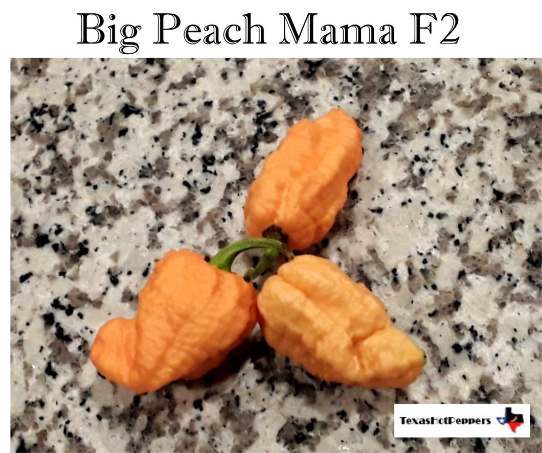 Big Peach Mama F2