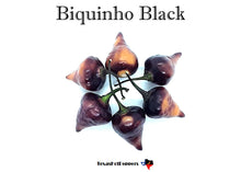 Load image into Gallery viewer, Biquinho Black