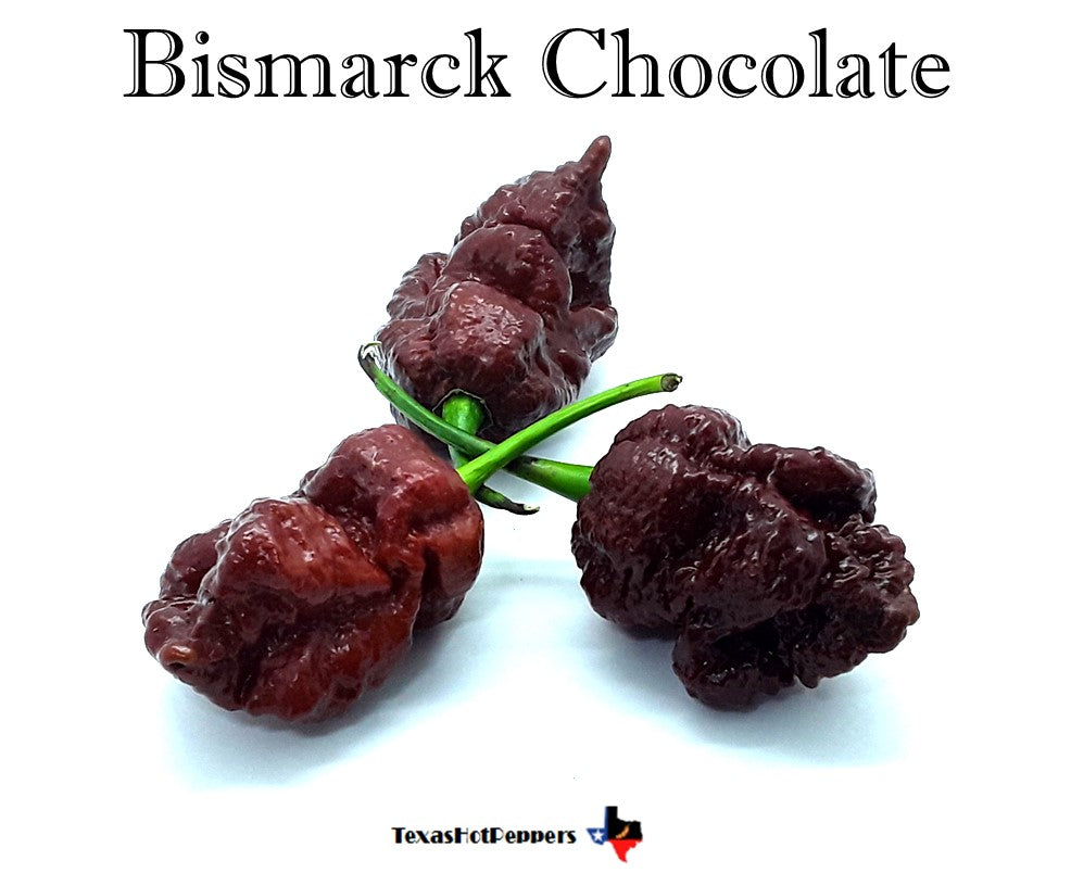 Bismarck Chocolate