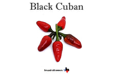 Load image into Gallery viewer, Black Cuban