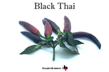 Load image into Gallery viewer, Black Thai