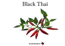 Load image into Gallery viewer, Black Thai