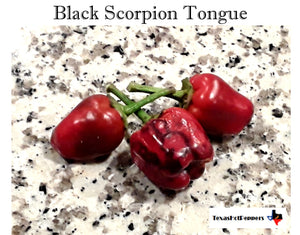 Black Scorpion Tongue Seeds