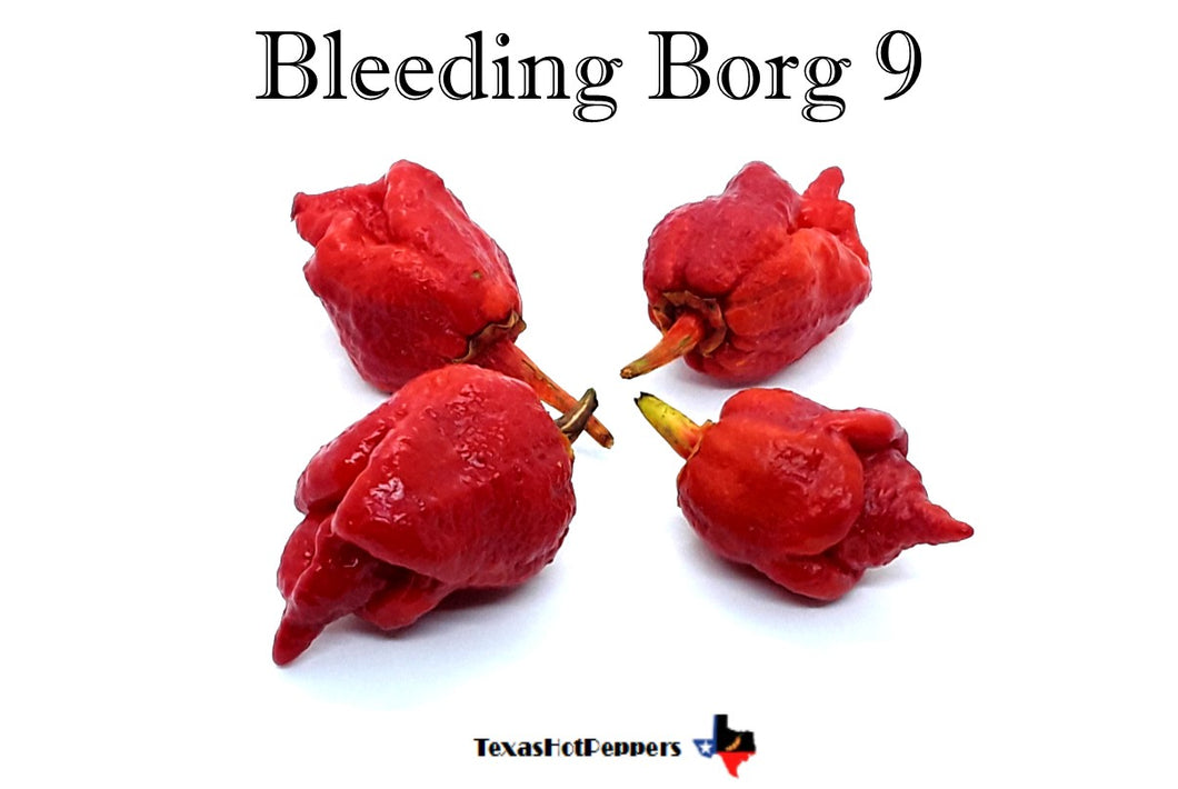 Bleeding Borg 9