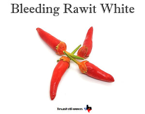 Bleeding Rawit White