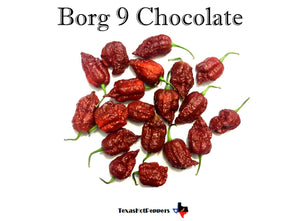 Borg 9 Chocolate