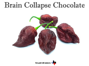 Brain Collapse Chocolate