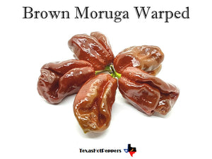 Brown Moruga Warped