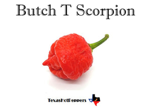 Butch T Scorpion