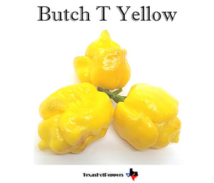 Yellow Butch T
