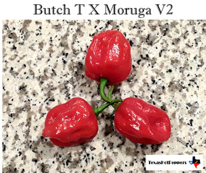 Butch T X Moruga (Ver 2) Seeds