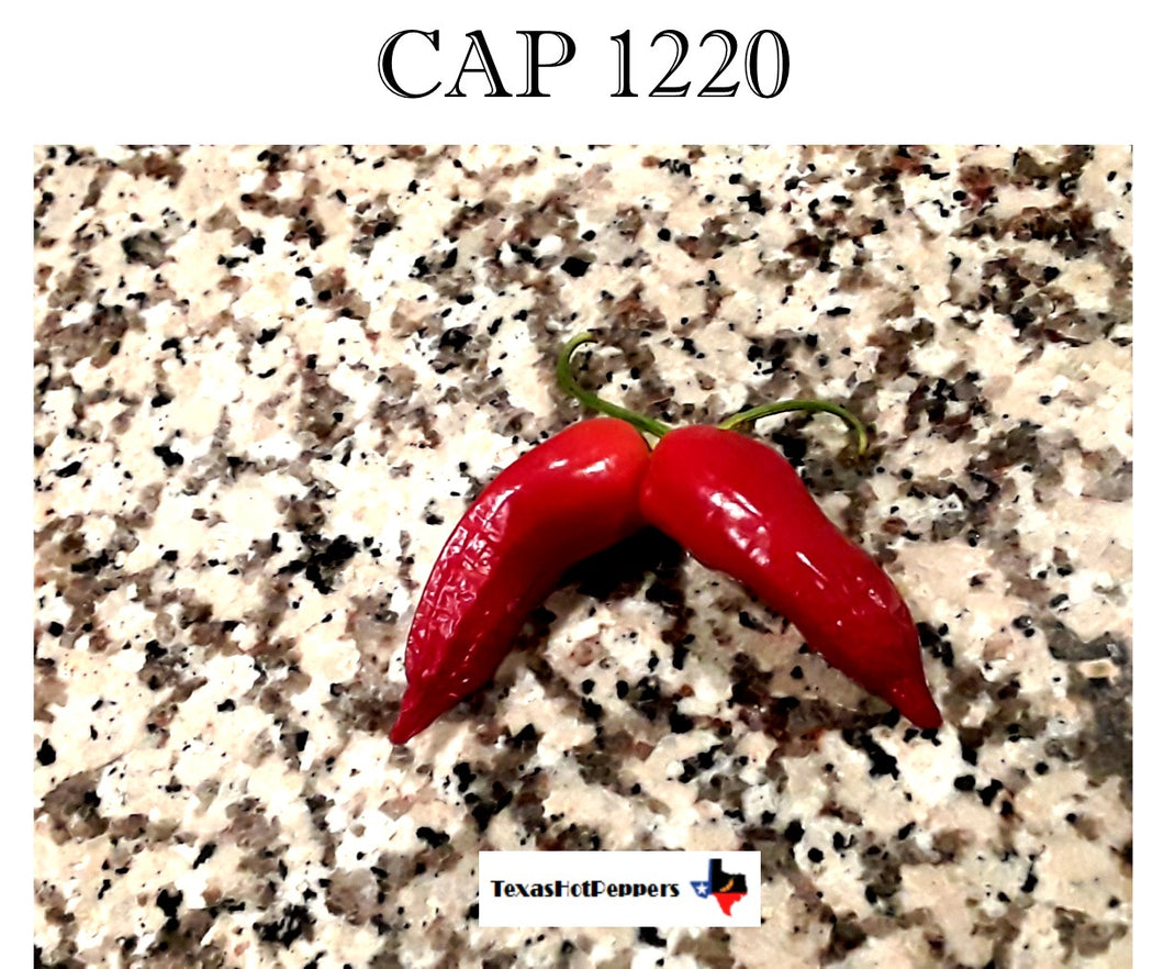 CAP 1220