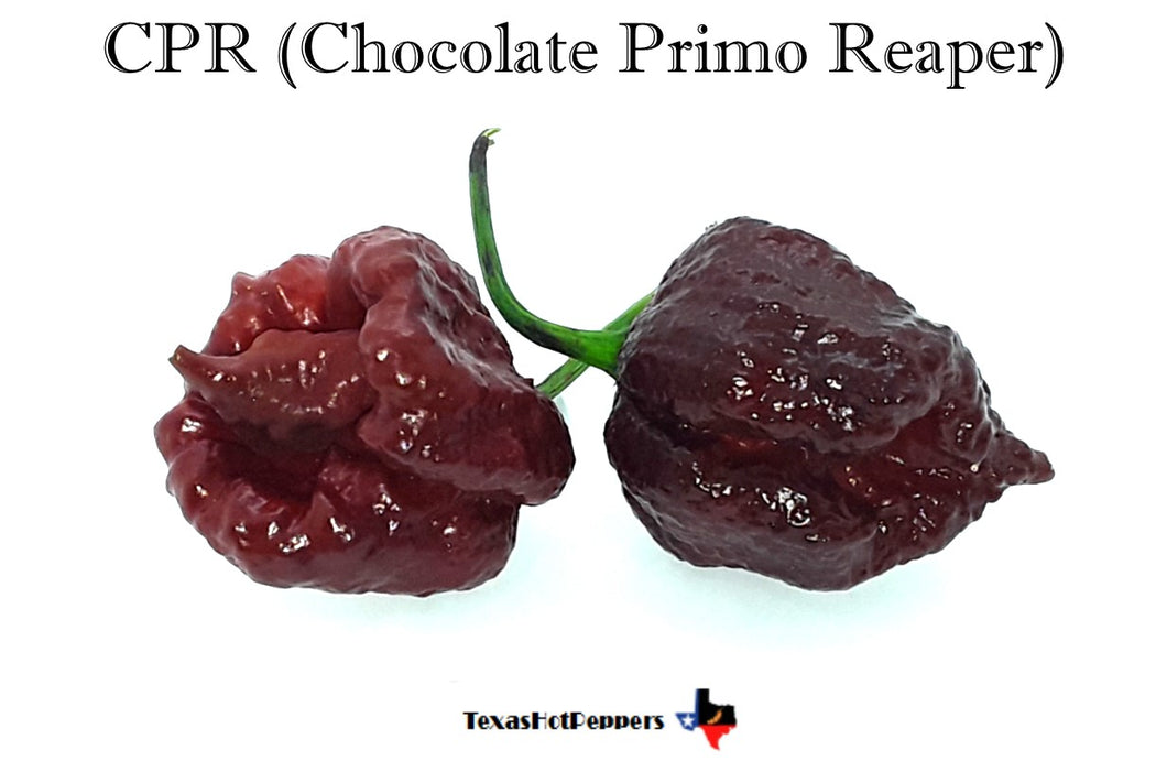 CPR - Chocolate Primo Reaper