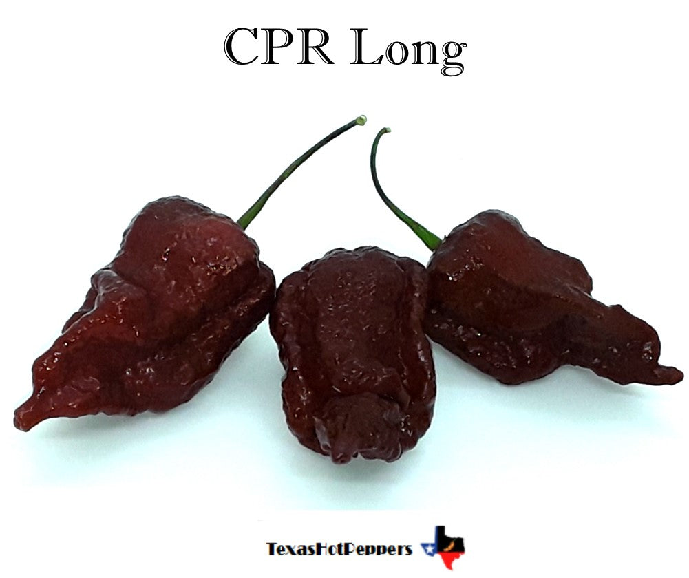 CPR Long