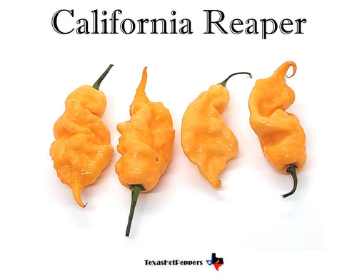 California Reaper