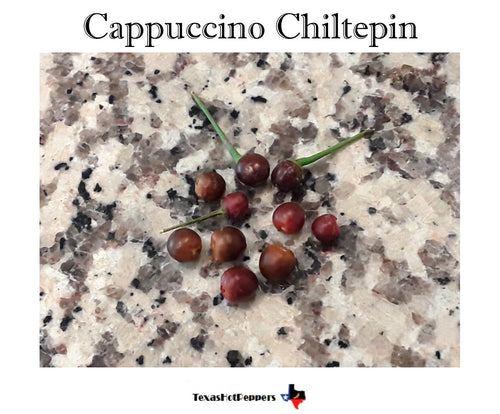Cappuccino Chiltepin