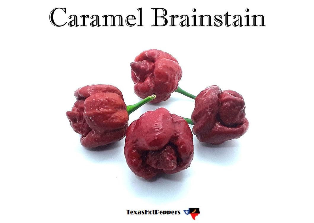 Caramel Brainstrain