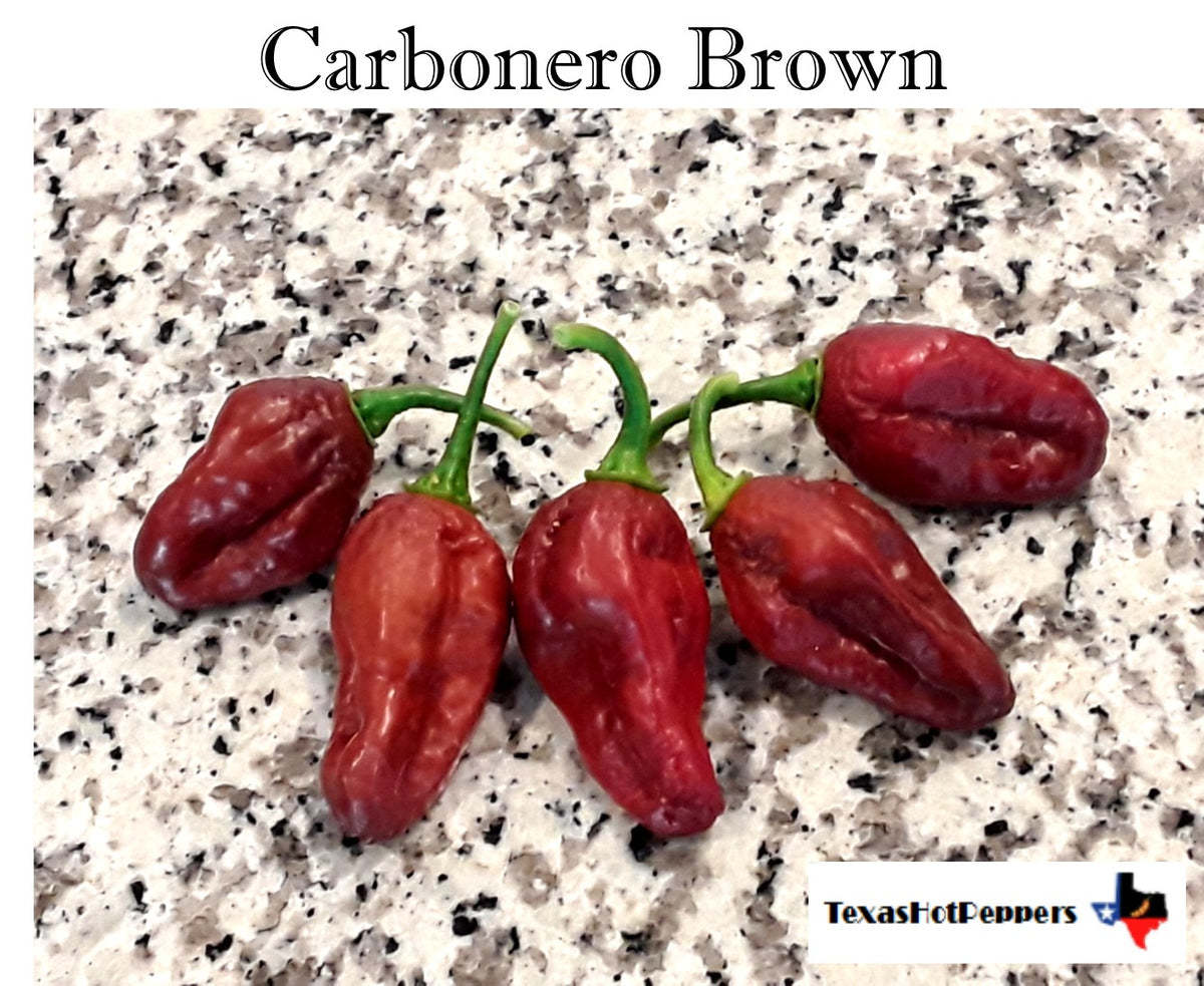 Carbonero Brown Seeds – Texas Hot Peppers