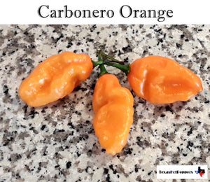Carbonero Orange
