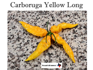 Carboruga Yellow Long