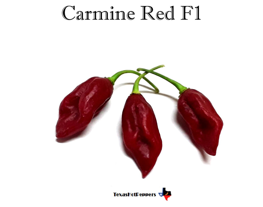 Carmine Red F1
