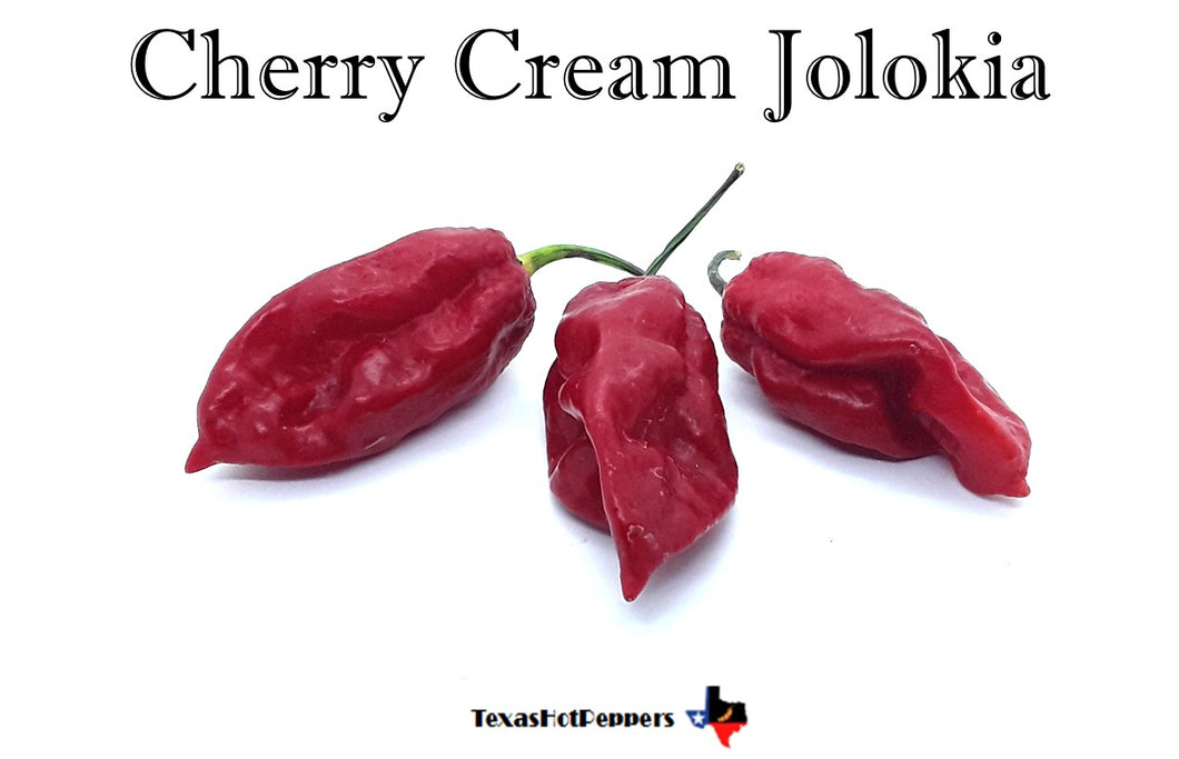 Cherry Cream Jolokia F1