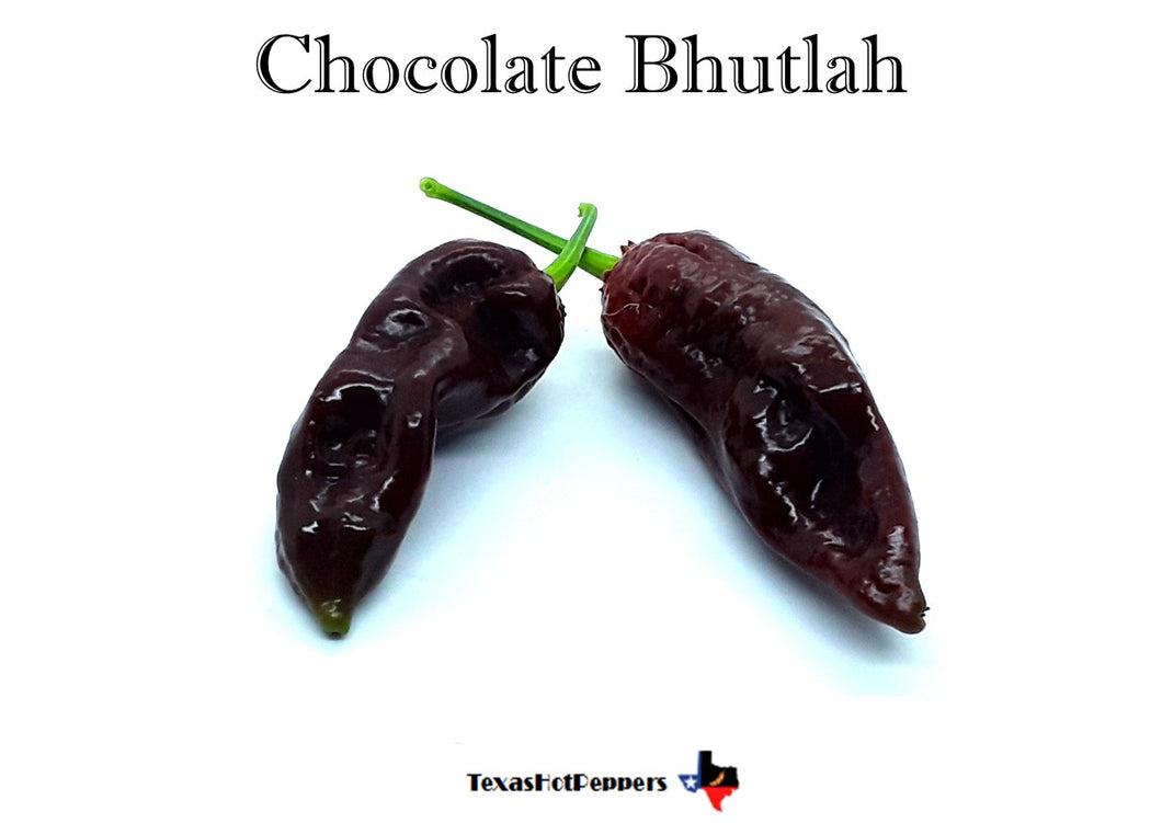Chocolate Bhutlah