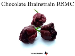 Chocolate Brainstrain RSMC