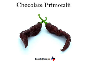 Chocolate Primotalii