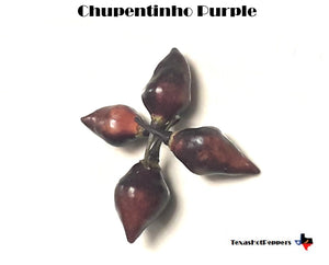Chupentinho Purple