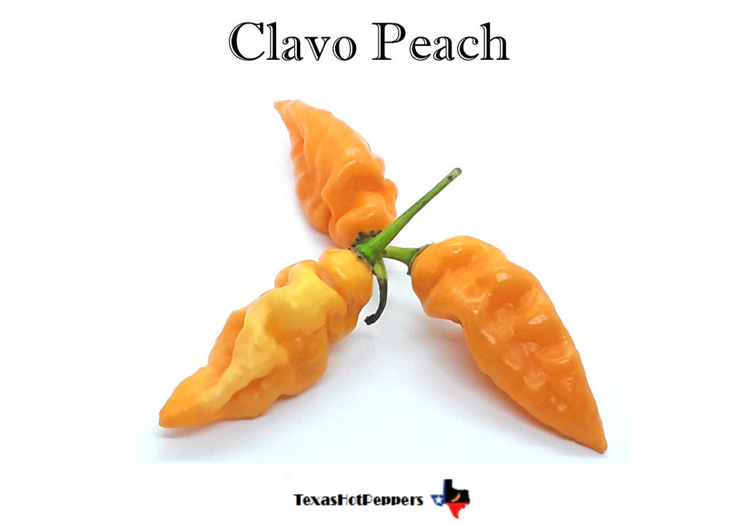 Clavo Peach