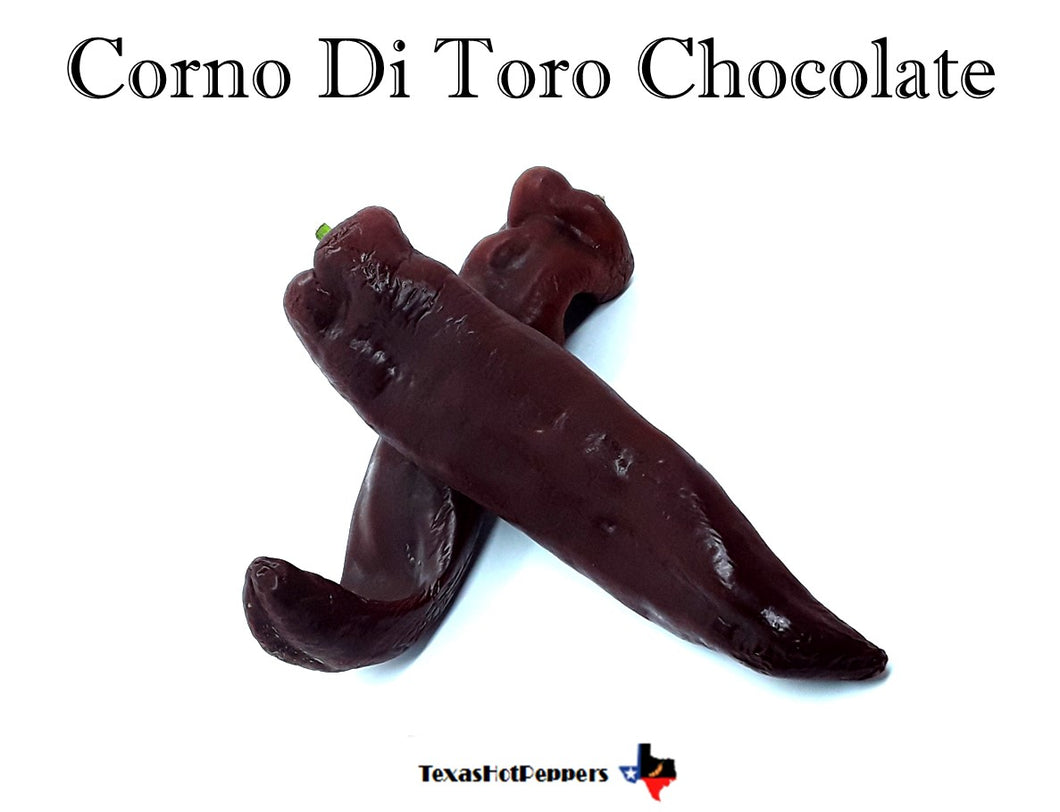 Corno Di Toro Chocolate