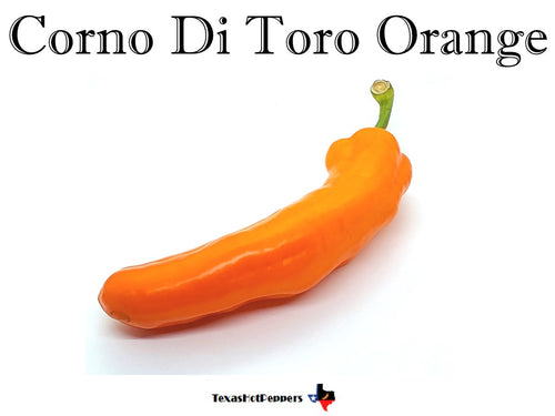 Corno Di Toro Orange