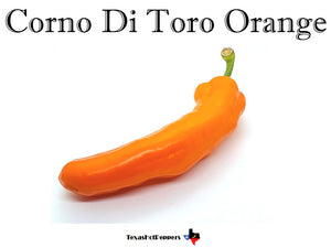 Corno Di Toro Orange