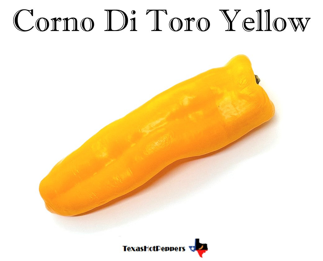 Corno Di Toro Yellow