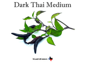 Dark Thai Medium