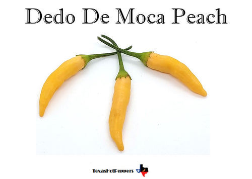 Dedo De Moca Peach