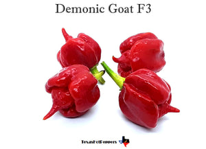 Demonic Goat F4