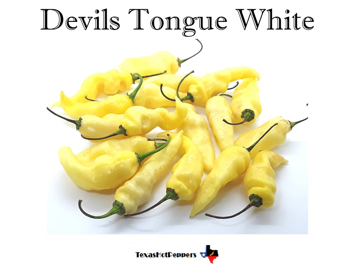 Devils Tongue White – Texas Hot Peppers