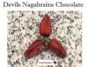 Devils Nagabrains Chocolate