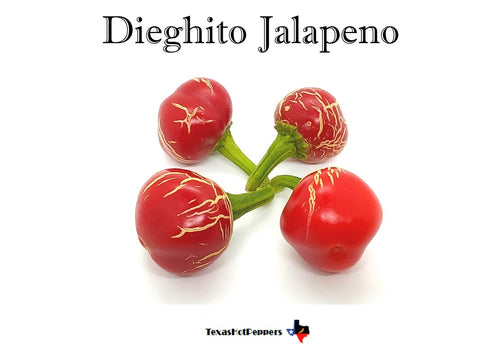 Dieghito Jalapeno