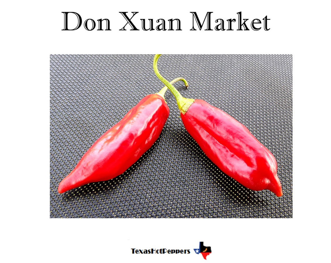 Don Xuan Market