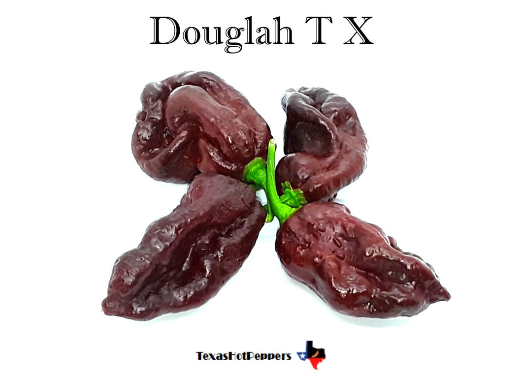 Douglah T X