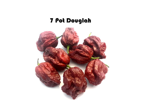 7 Pot Douglah
