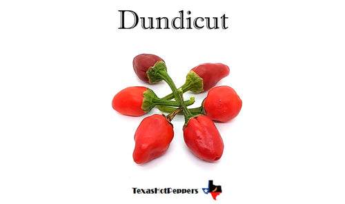 Dundicut