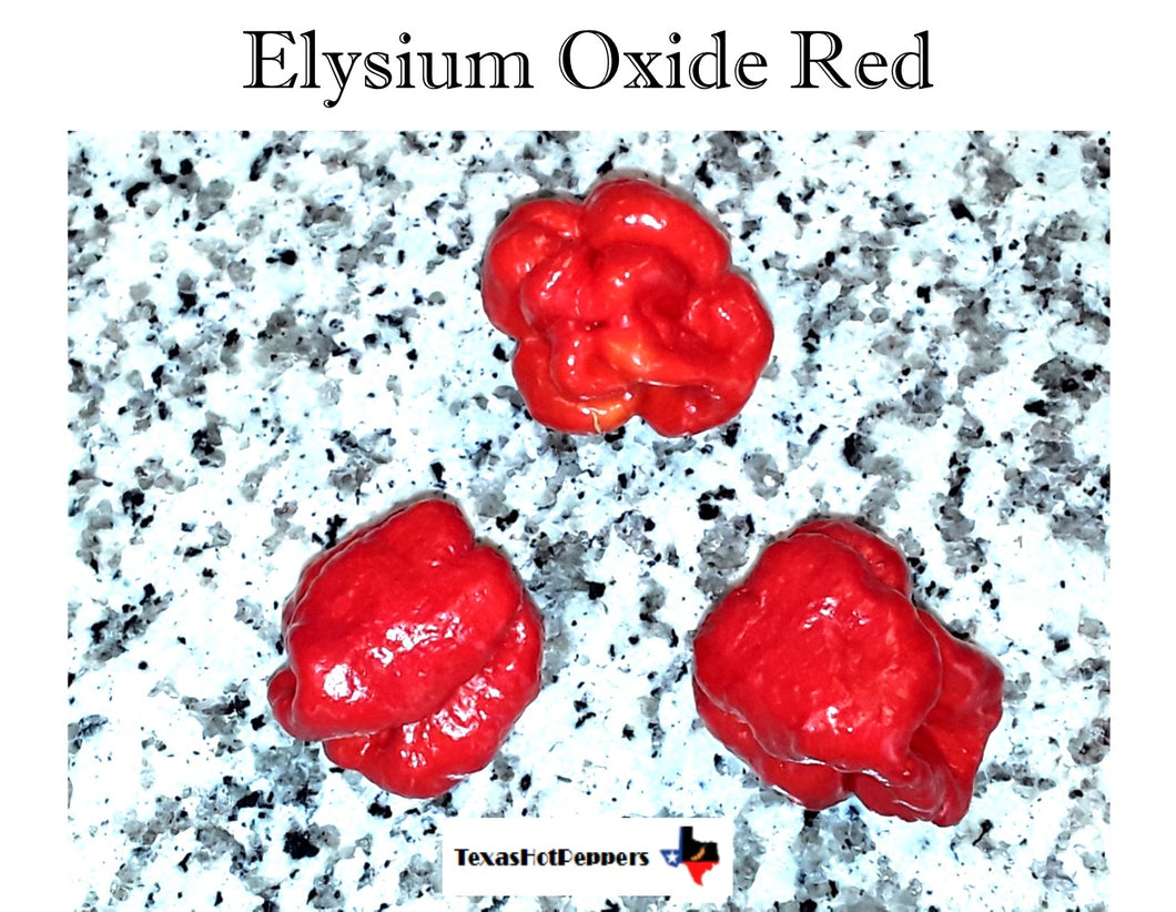 Elysium Oxide Red Seeds