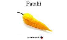 Load image into Gallery viewer, Fatalii